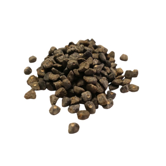 Nasiona Banana Wytrzymałego (Musa sp. 'Jamesonii')