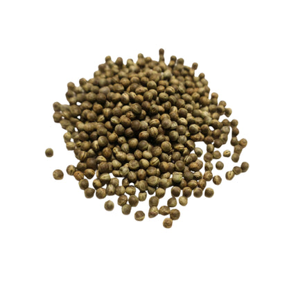 Nasiona Wilczomlecza Coopera (Euphorbia cooperi)
