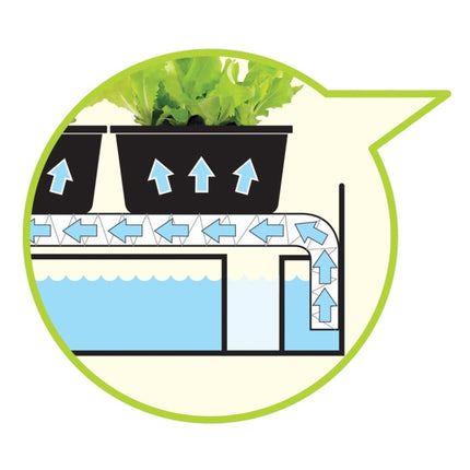 Micro Grow Light Garden LED White Garland – Mini Zielnik z Oświetleniem LED