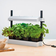 Micro Grow Light Garden LED White Garland – Mini Zielnik z Oświetleniem LED