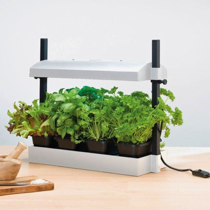 Micro Grow Light Garden LED White Garland – Mini Zielnik z Oświetleniem LED