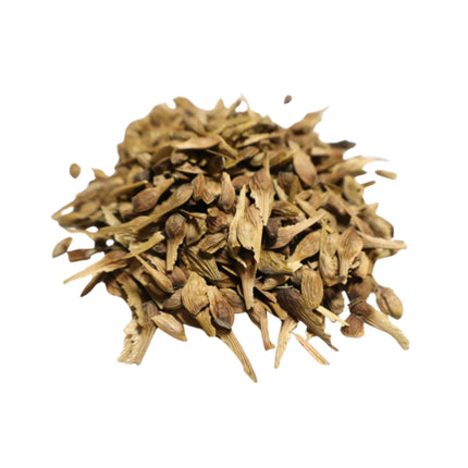 Nasiona Klonu Czerwonego (Acer rubrum)