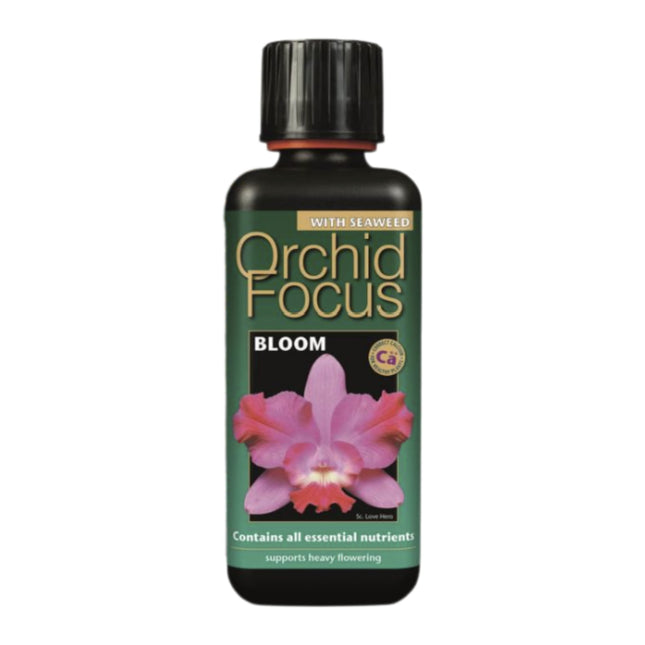 Orchid Focus Bloom 300ml - odżywka do storczyków