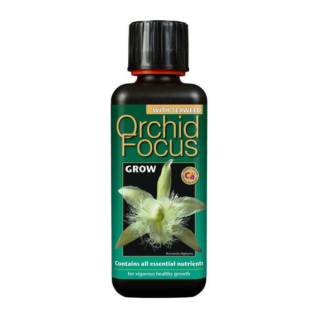 Orchid Focus Grow 300ml - odżywka do storczyków