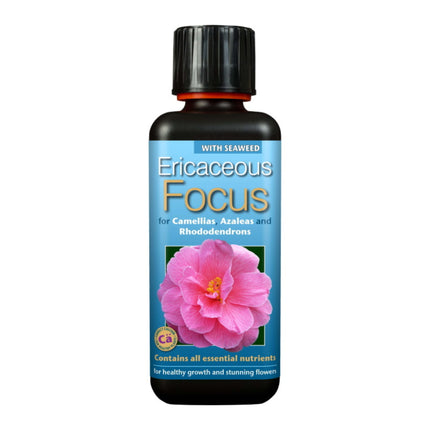 Ericaceous Focus 300ml - nawóz do roślin kwasolubnych