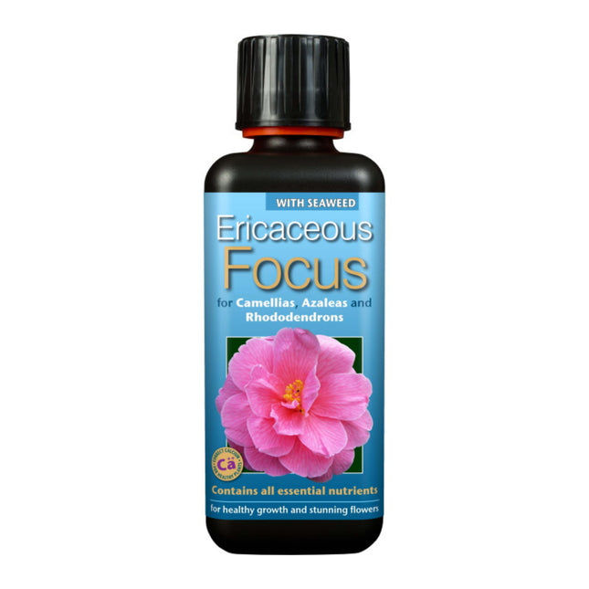 Ericaceous Focus 300ml - nawóz do roślin kwasolubnych