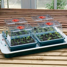 Propagator elektryczny z automatyczną kontrolą temperatury Garland 59,5x41x20 cm