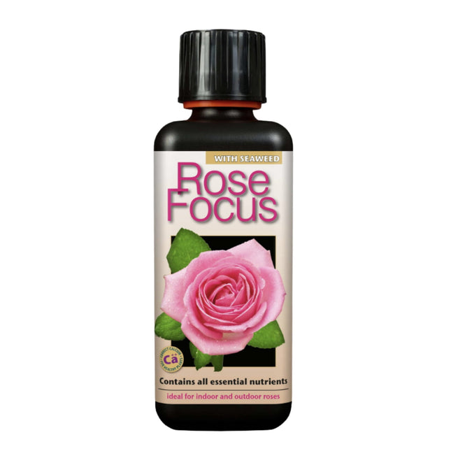 Rose Focus 300ml - nawóz do róż