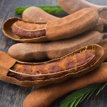 Nasiona Tamaryndowca Indyjskiego - Tamarindus Indica