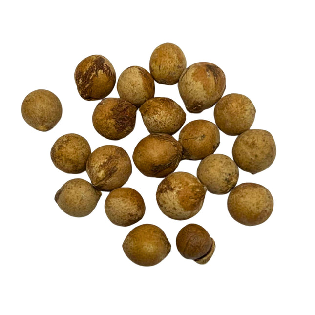 Nasiona Kopernicji Yarey - Copernicia Berteroana