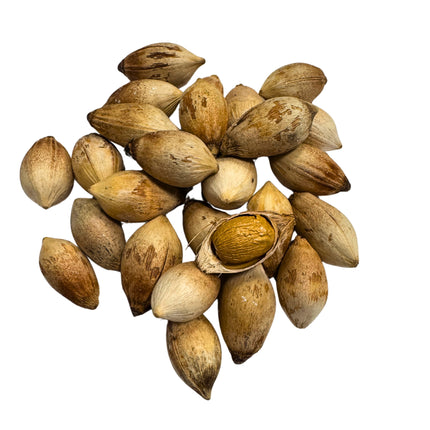 Nasiona Palmy Joannisa - Veitchia Joannis