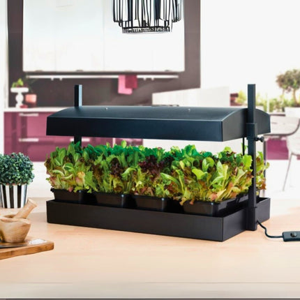 Grow Light Garden LED Black 32W - Propagator Zielnik Z Oświetleniem