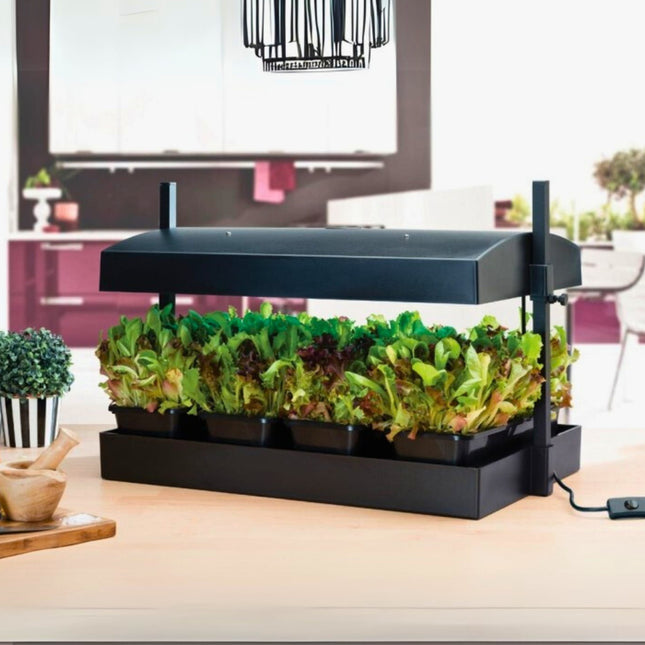 Grow Light Garden LED Black 32W - Propagator Zielnik Z Oświetleniem