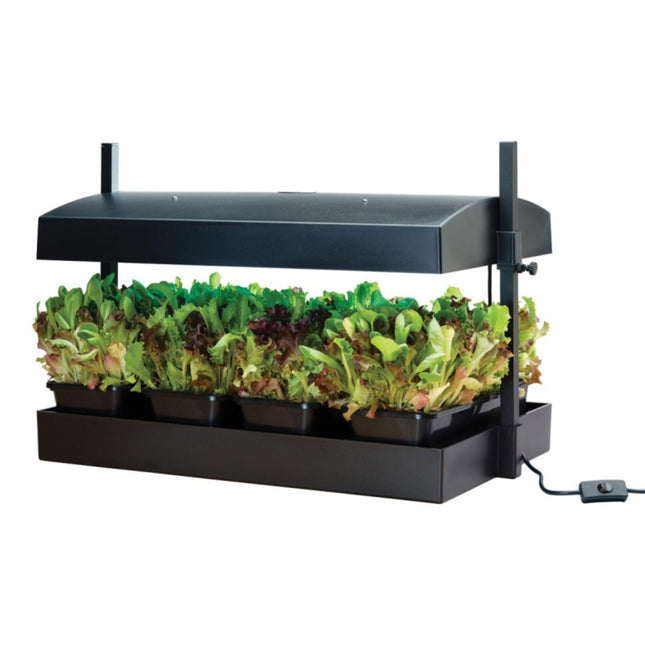 Grow Light Garden LED Black 32W - Propagator Zielnik Z Oświetleniem