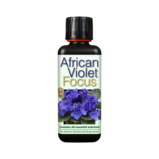 African Violet Focus 300ml - nawóz do fiołków afrykańskich