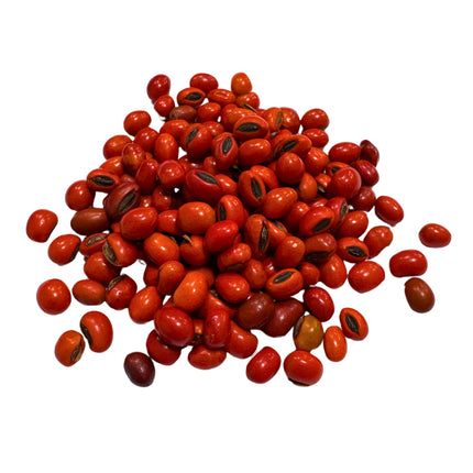 Nasiona Drzewa Koralowego - Erythrina Caffra