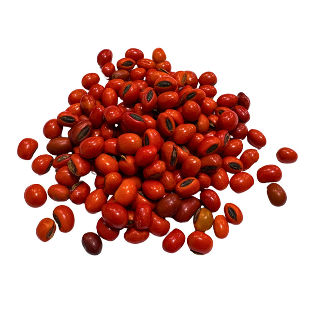 Nasiona Drzewa Koralowego - Erythrina Caffra