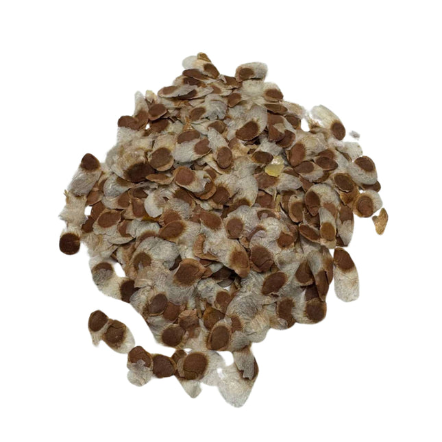 Nasiona Rośliny Żółw - Dioscorea Elephantipes