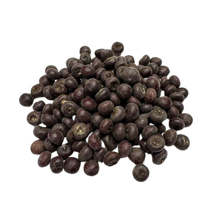 Nasiona Palmy Hispaniola - Sabal Domingensis