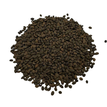Nasiona Akacji Srebrzystej - Acacia Dealbata
