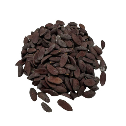 Nasiona Karłowatej Palmy Rybi Ogon - Wallichia Oblongifolia