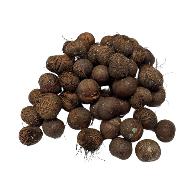 Nasiona Palmy Acai - Euterpe Oleracea