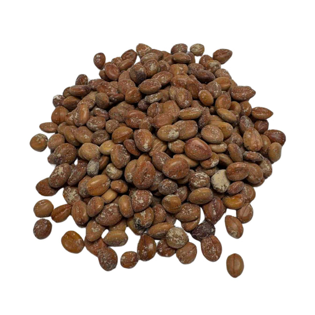 Nasiona Strączyńca Cewiastego - Cassia Fistula