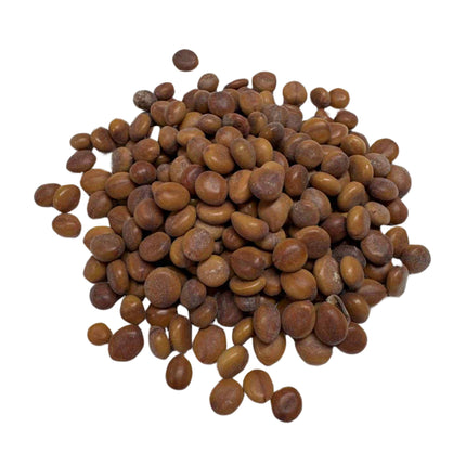Nasiona Kasji Czerwonej - Cassia Roxburghii
