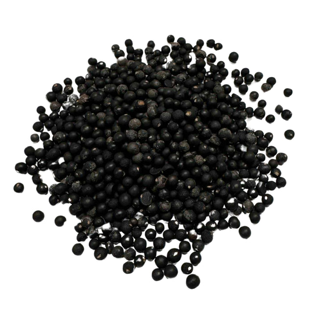 Nasiona Szparaga Sprengera - Asparagus Aethiopicus