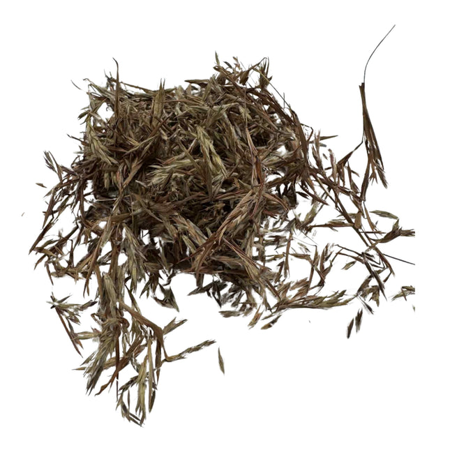 Nasiona Trawy Limonkowej - Cymbopogon Nardus