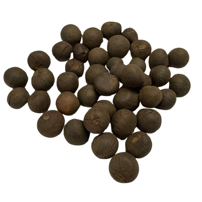 Nasiona Herbaty Chińskiej - Camellia Sinensis