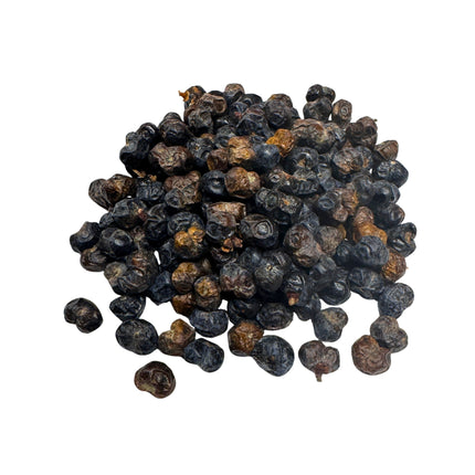Nasiona Szorstkowca Fortunego x Princeps - Trachycarpus Fortunei x Princeps