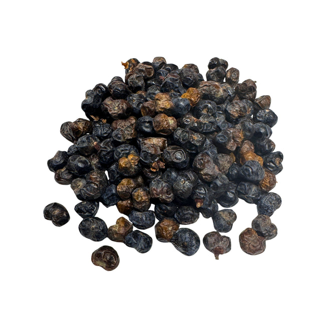 Nasiona Szorstkowca Fortunego x Princeps - Trachycarpus Fortunei x Princeps