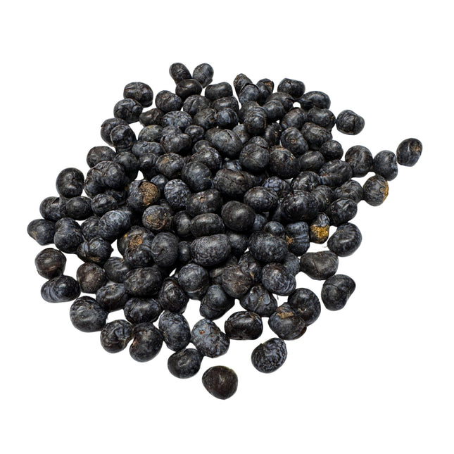 Nasiona Szorstkowca Wagnera x Nanus - Trachycarpus Wagnerianus x Nanus