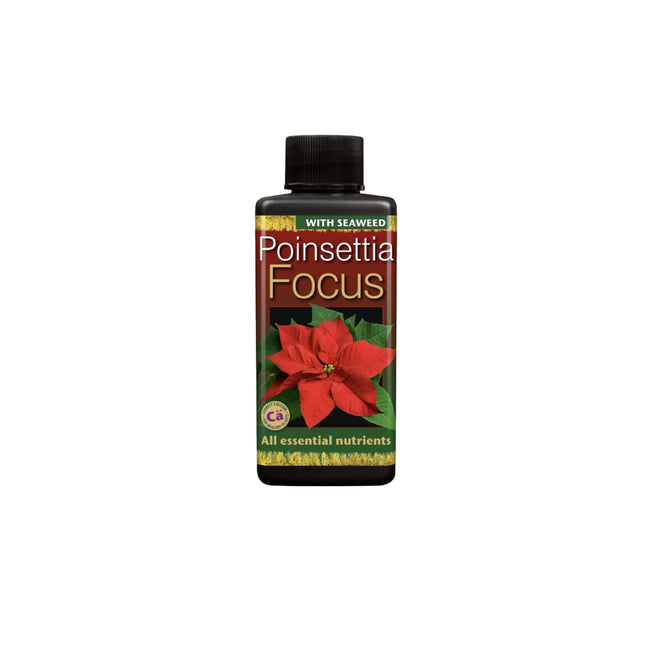 Poinsettia Focus 100ml – Nawóz do Gwiazdy Betlejemskiej