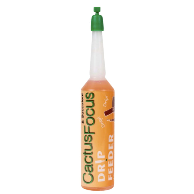Cactus Focus Drip Feeders 6x38ml - ampułki do nawożenia kaktusów