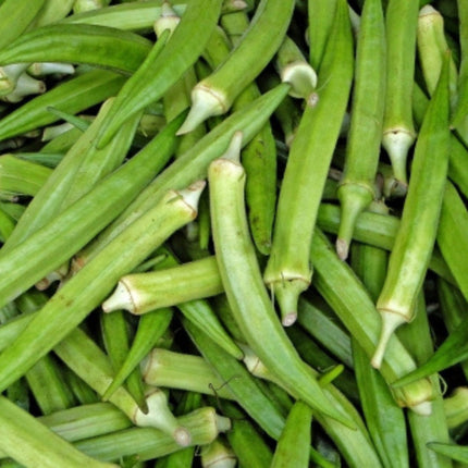 Nasiona Piżmianu Jadalnego - Abelmoschus Esculentus
