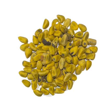 Nasiona Drzewa Ognistego - Brachychiton Acerifolius