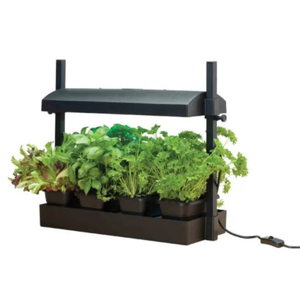 Micro Grow Light Garden LED Black Garland – Mini Zielnik z Oświetleniem LED