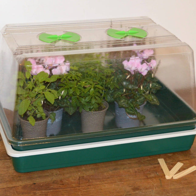 Propagator elektryczny z regulacją temperatury – Garland Single High Top Variable Temperature Control Propagator