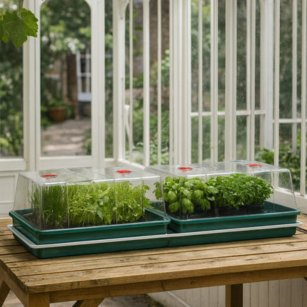 Garland Jumbo Professional – elektryczny propagator do nasion i sadzonek z regulacją temperatury 100W