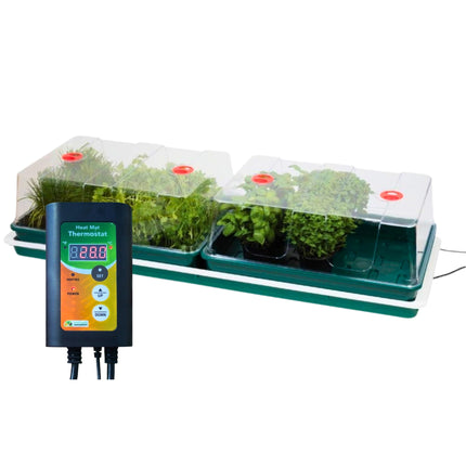 Garland Jumbo Professional – elektryczny propagator do nasion i sadzonek z regulacją temperatury 100W