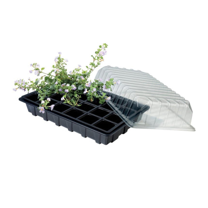 Standard Propagator Garland – mini szklarnia do wysiewu nasion i sadzonek (24 komory)