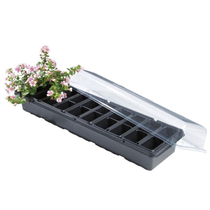Windowsill Greenhouse Garland – mini szklarenka na parapet do wysiewu nasion i sadzonek (20 otworów)