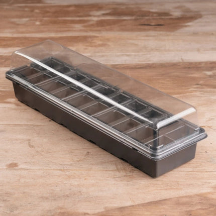 Windowsill Greenhouse Garland – mini szklarenka na parapet do wysiewu nasion i sadzonek (20 otworów)