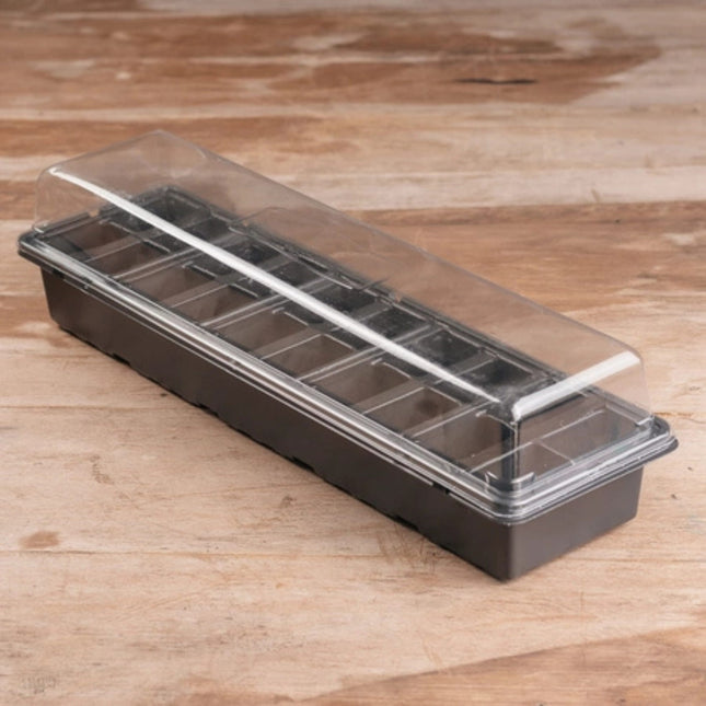 Windowsill Greenhouse Garland – mini szklarenka na parapet do wysiewu nasion i sadzonek (20 otworów)