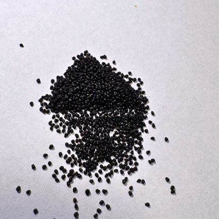 Nasiona Kaktusa Mammillaria Armillata