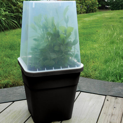 Doniczkowy propagator z przezroczystą pokrywą – Garland 25 cm (11 L)