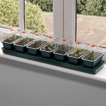 Duży samonawadniający propagator z 7 mini szklarenkami - Garland