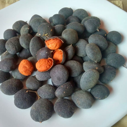 Nasiona Śliwki Tamaryndowca - Dialium Indum